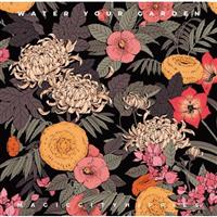 �E�H�[�^�[�E���A�E�K�[�f��