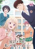 全巻セット【中古】DVD▼進化の実 知らないうちに勝ち組人生(6枚セット)第1話～第12話 最終 レンタル落ち 真・進化の実 知らないうちに勝ち組人生 1-6 全6巻 全巻セット