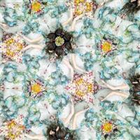 �yMAXI�z���z������Ȃ����E �ʏ��(�}�L�V�V���O��)