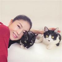 �yMAXI�z�z���o�Â���/�����ȏ��̉��`���E�J���p�l���`(�}�L�V�V���O��)