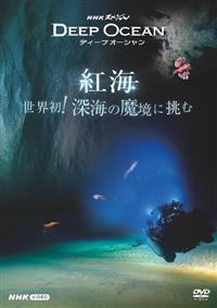 �m�g�j�X�y�V�����@�f�B�[�v�I�[�V�����@�g�C�@���E���I�[�C�̖����ɒ���