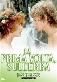 ���̖؉A�̈�