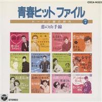 �t�q�b�g�t�@�C���`�h�[�i�c�Ղ̎��� 7