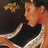 ���[�f���E�p�C�p�[ +7