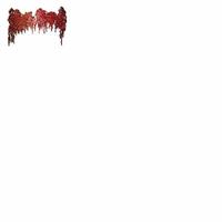 �ڂڂ����ƂƂ����݂݂��������̂̂�����������