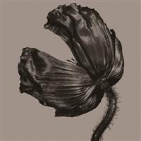 [X<fbNXEGfBV>yDisc.3z