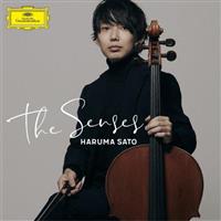 The Senses �`�u���[���X��i�W�`