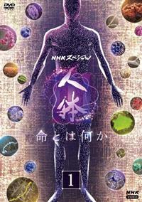 �m�g�j�X�y�V�����@�l�̂h�h�h�@���Ƃ͉���