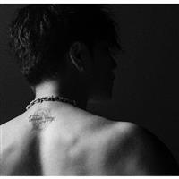 THE FUSION(�ʏ��)