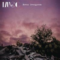 �yMAXI�zNever Evergreen(�ʏ��)(�}�L�V�V���O��)